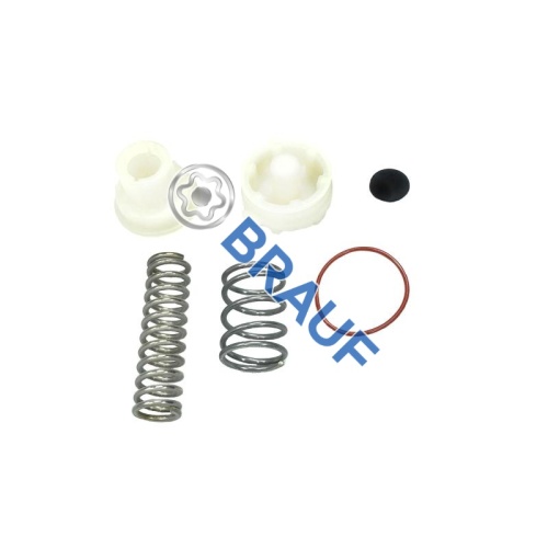 Клапан осушителя компрессора BRAUF |Wabco| (комплект)